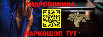 индика Балахна