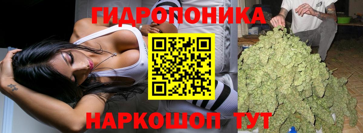 Бошки Шишки ГИДРОПОН  Вход с VPN  Конопля индика  Будённовск 